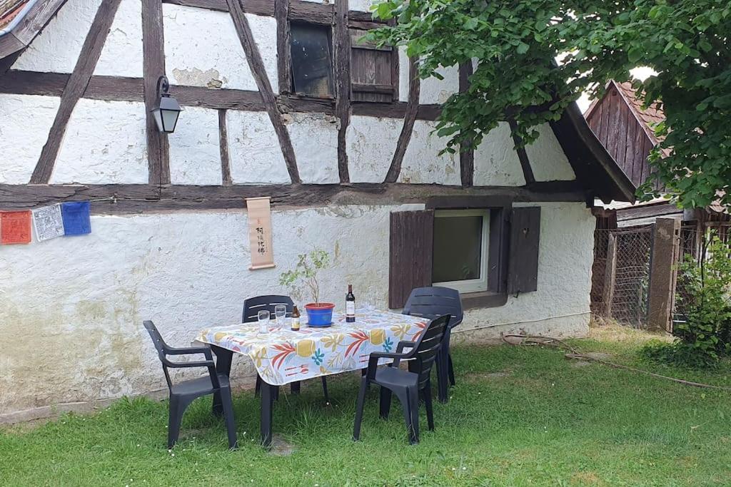 Вилла Le Berger Du Salzbach Romanswiller Экстерьер фото
